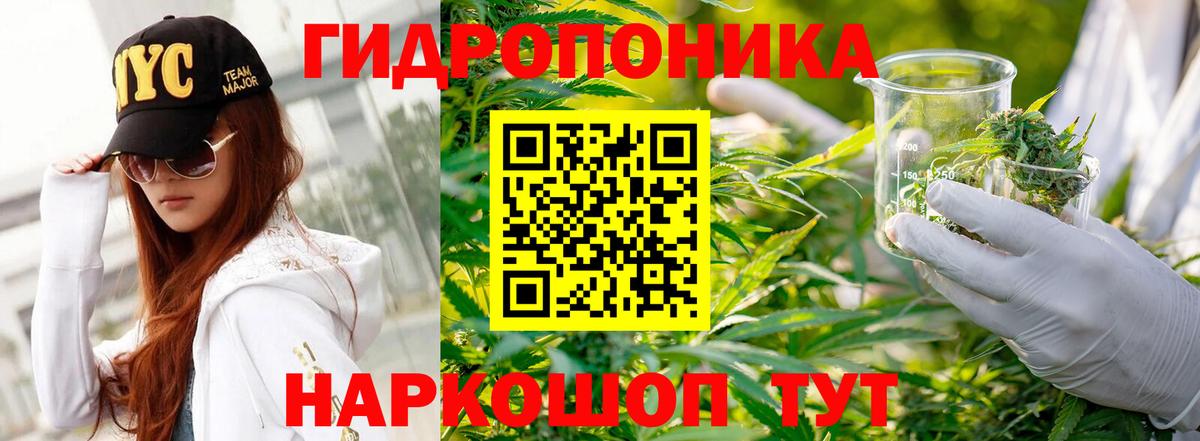 Канабис план  Вход с VPN  Бошки Шишки Bruce Banner  Марихуана тримм  Бошки марихуана план  Муравленко 